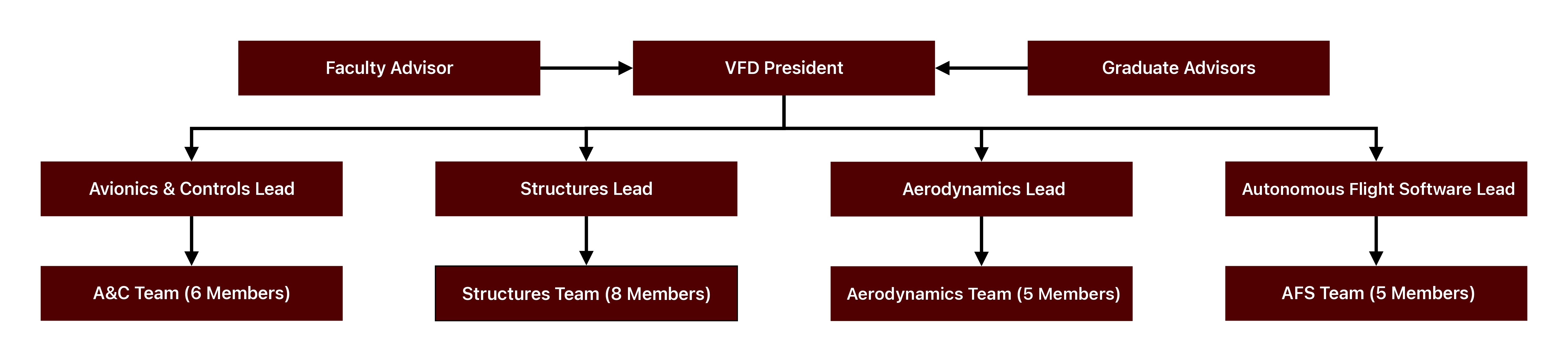 VFD team structure image
